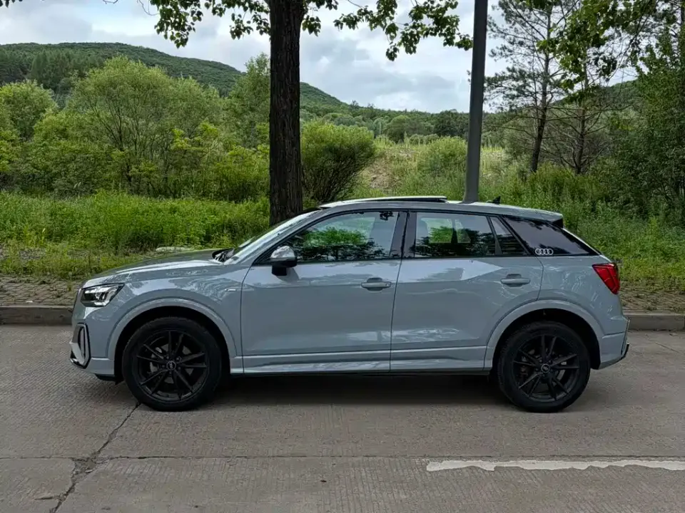 Audi Q2L