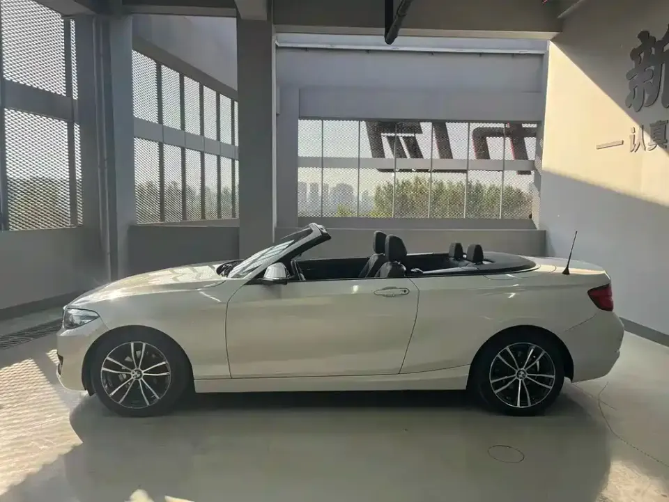 BMW 2 Series (Import)