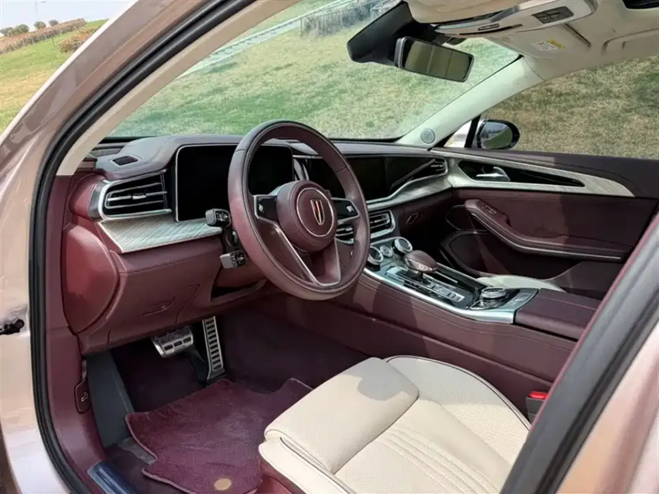 Hongqi Hongqi H9