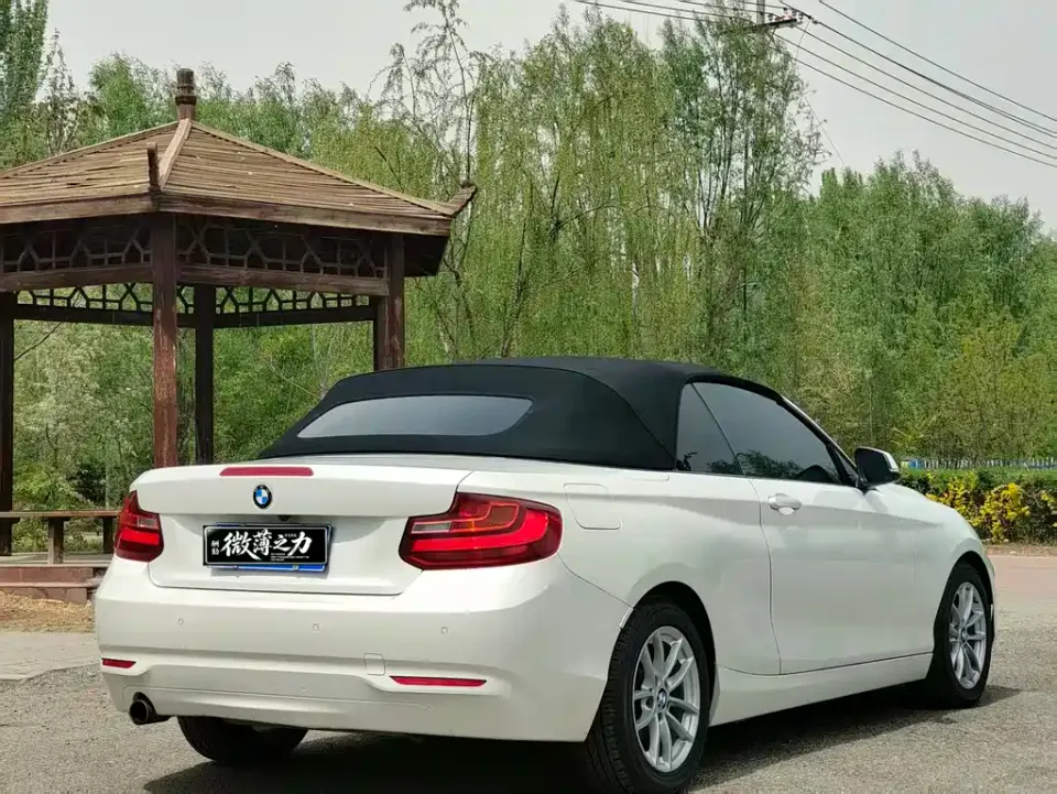 BMW 2 Series (Import)