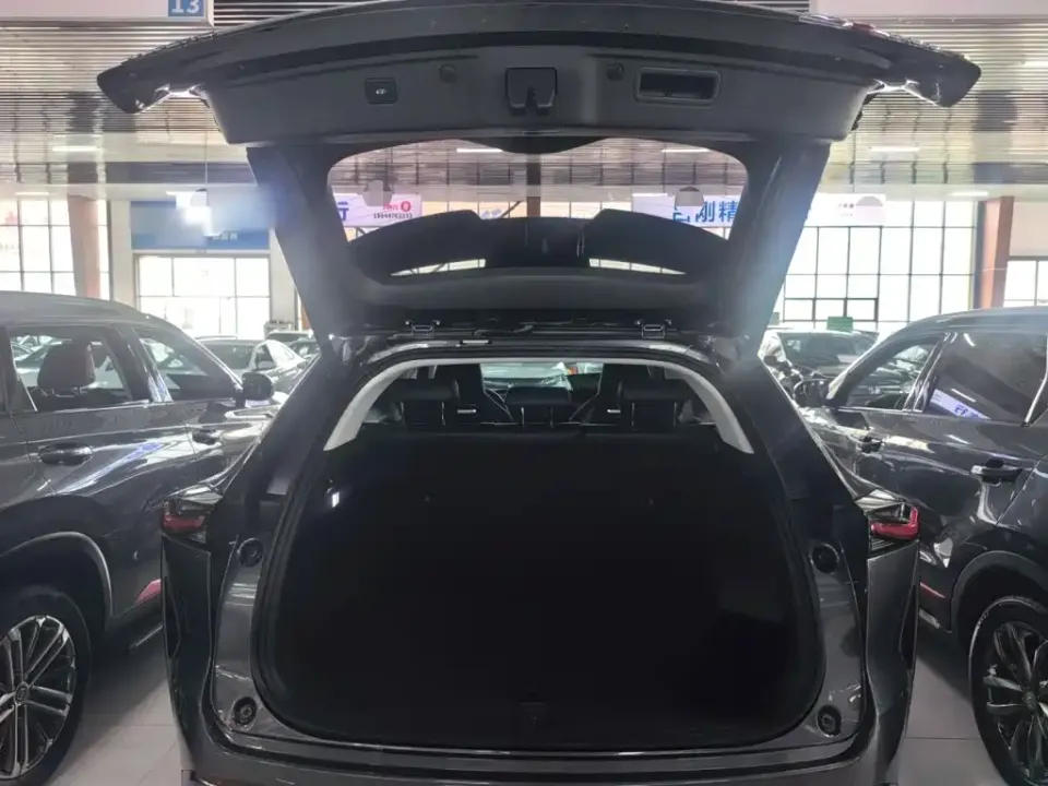 Oshan Oushang Z6