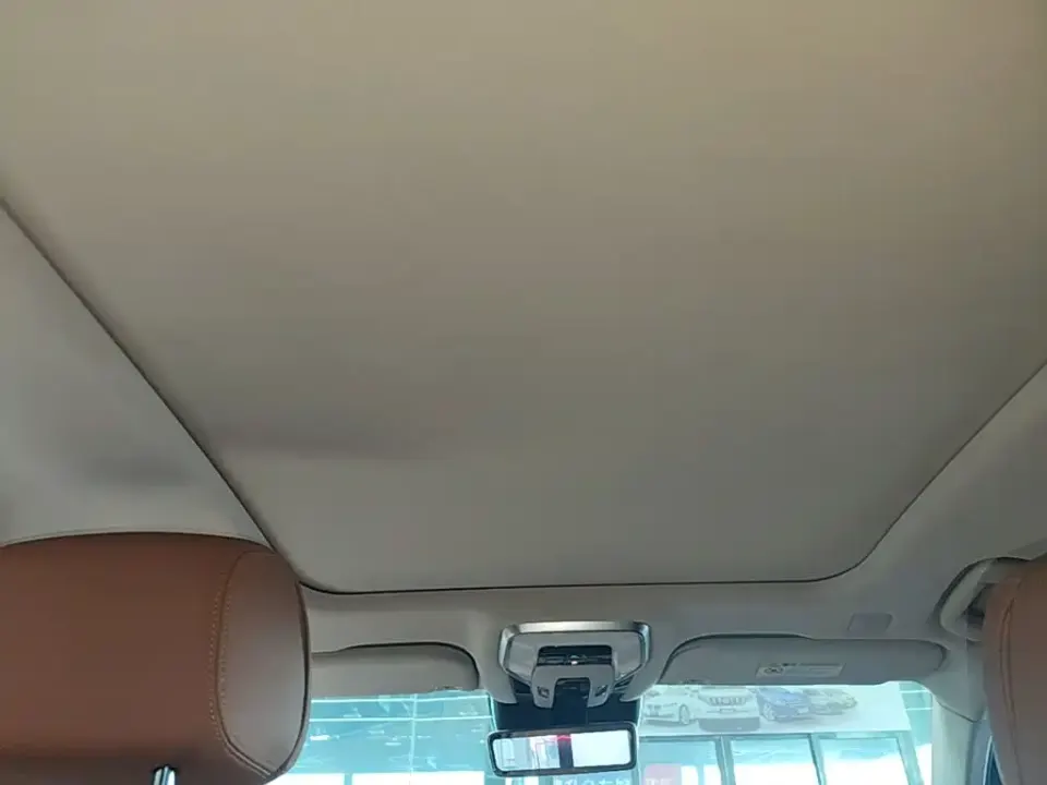 Hongqi Hongqi H9