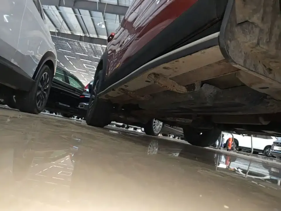 Haval Big Dog
