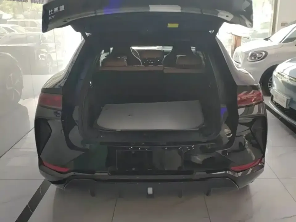 BYD L EV