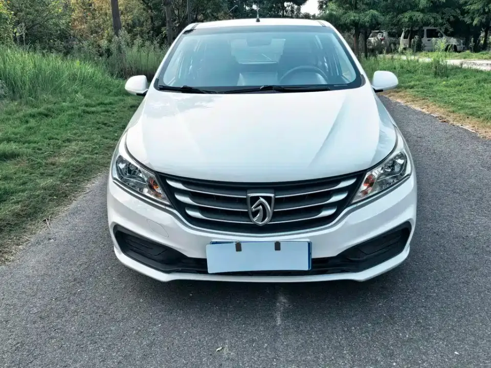 Baojun 310