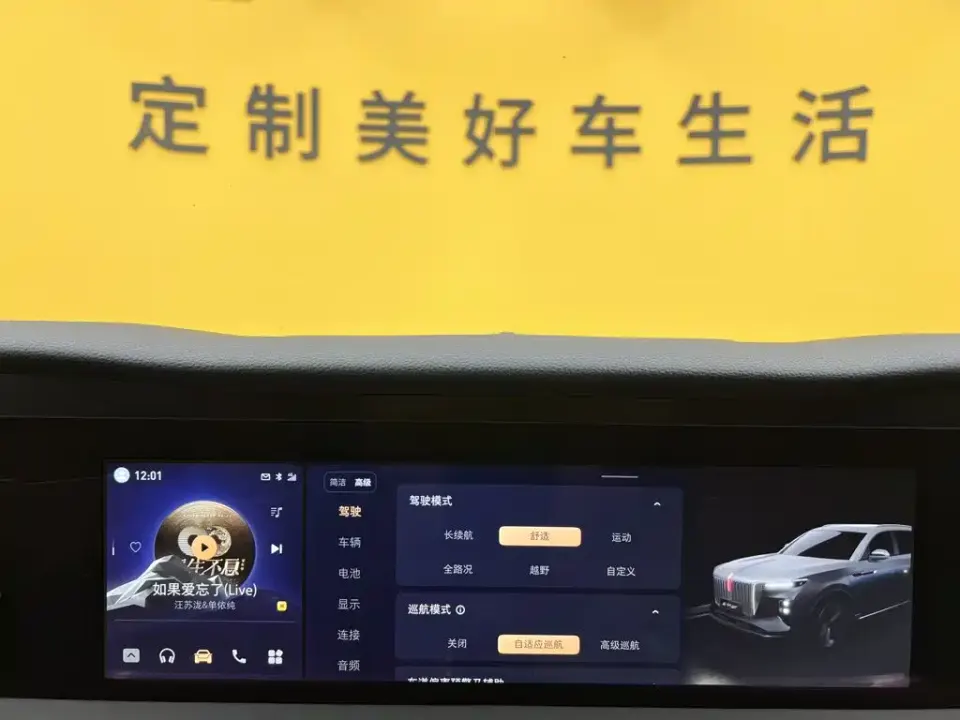 Hongqi Hongqi E-HS9