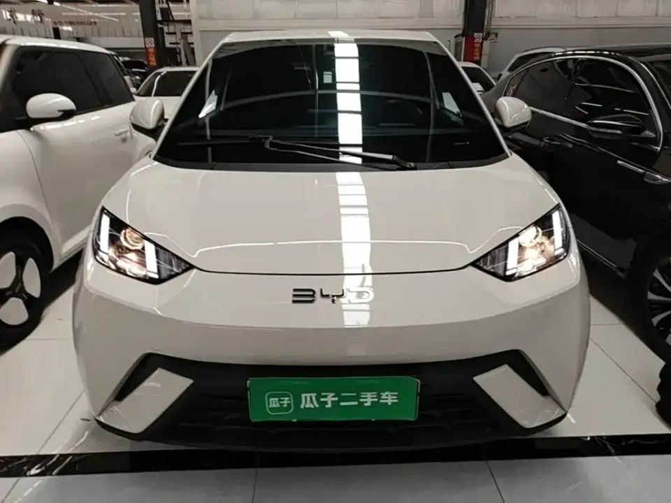 BYD Seagull