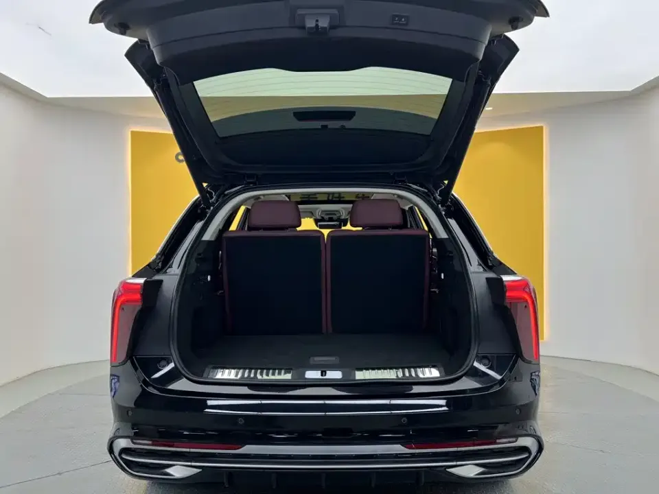 Hongqi Hongqi E-HS9