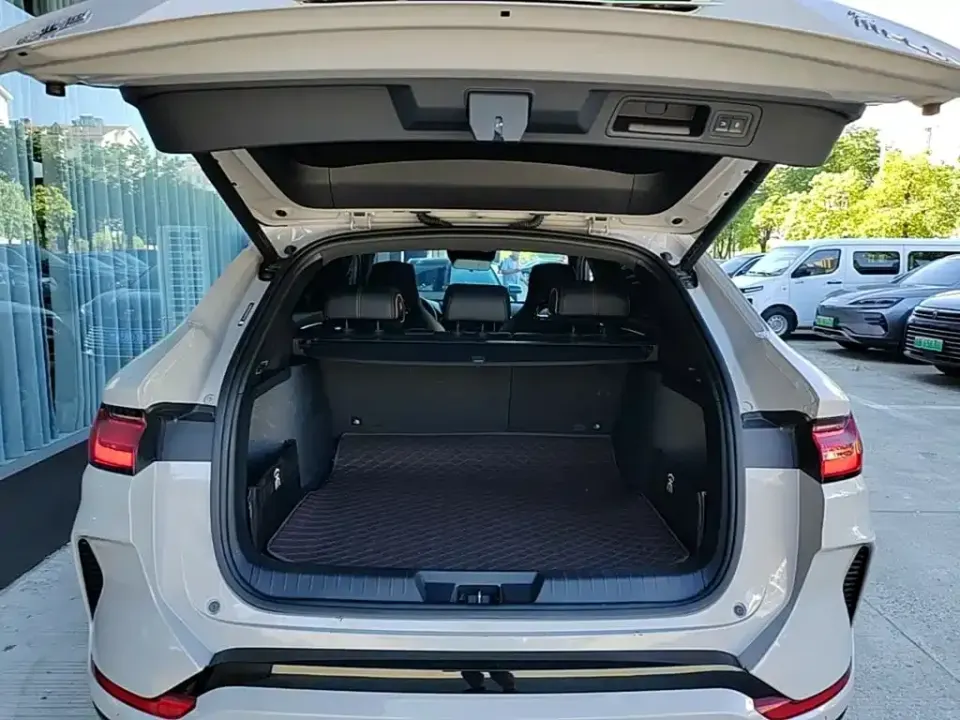 BYD PLUS New Energy