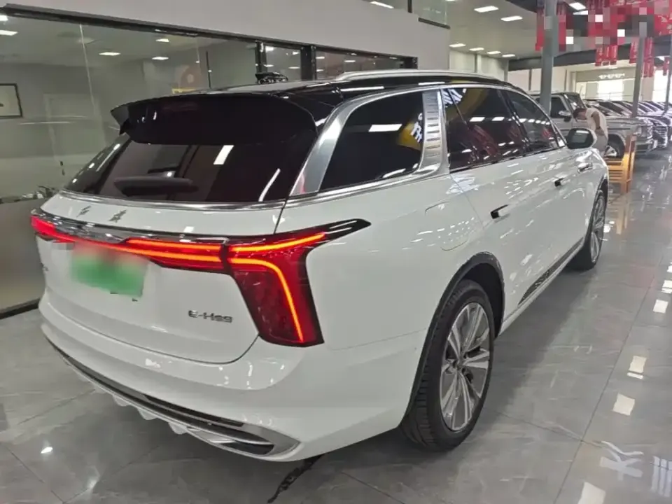 Hongqi Hongqi E-HS9
