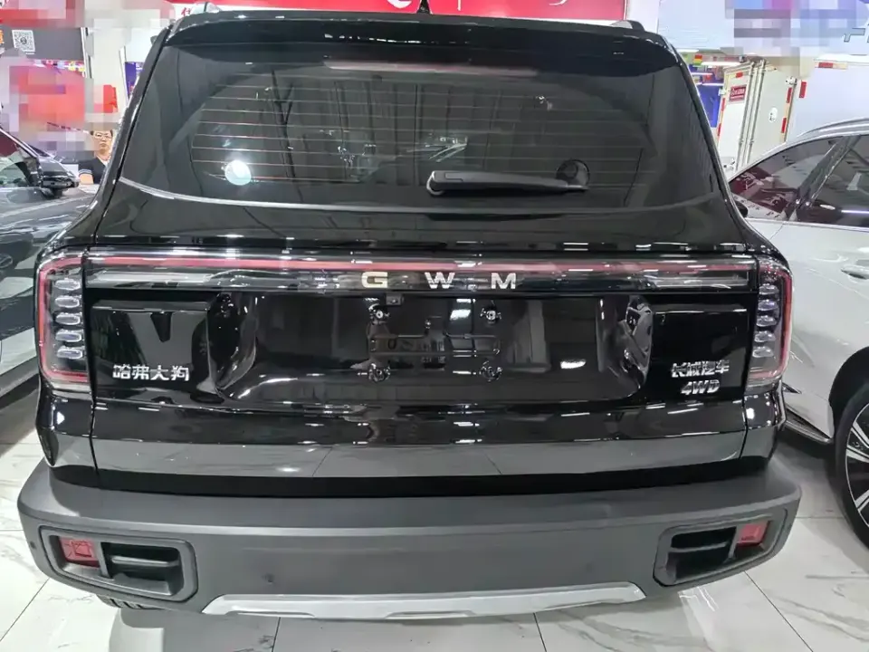 Haval Big Dog