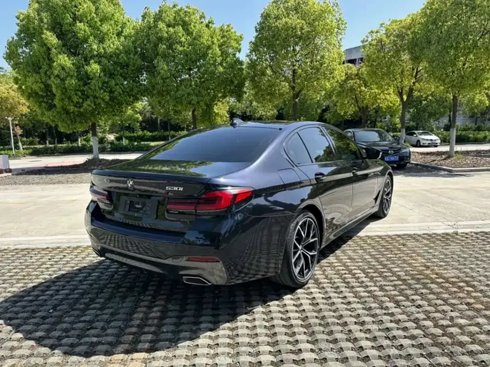 BMW 5 Series (Import)