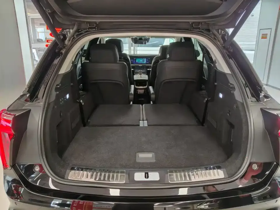 Hongqi Hongqi E-HS9