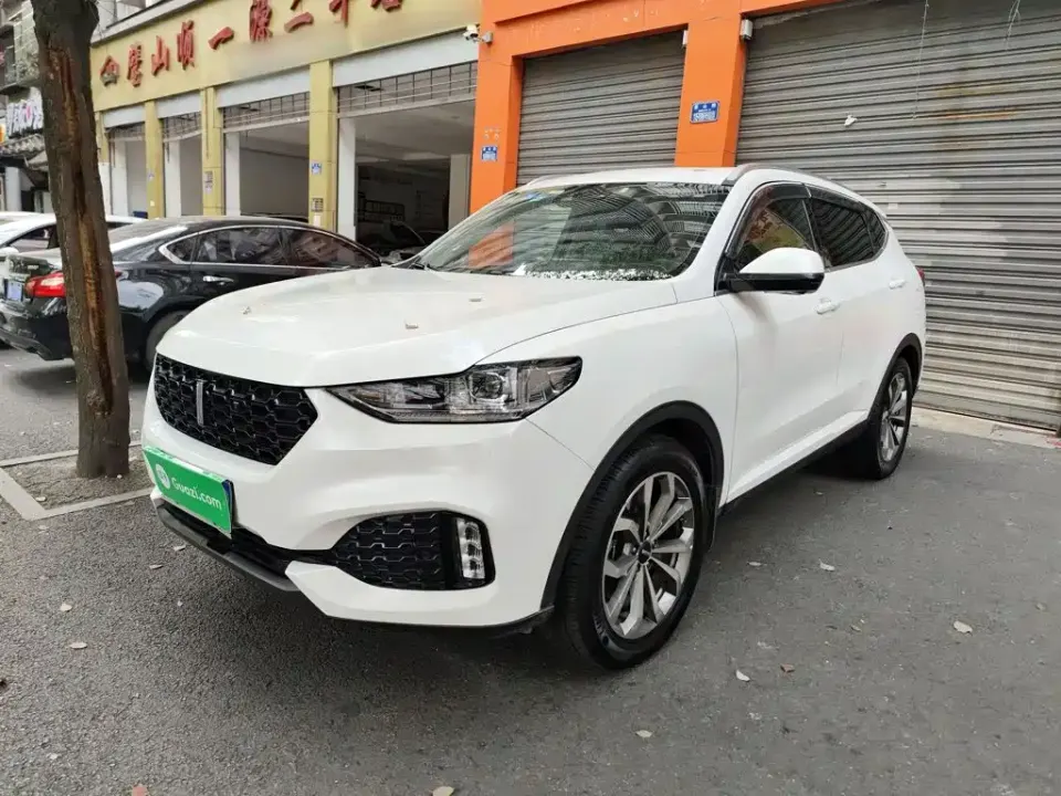WEY Wey VV6