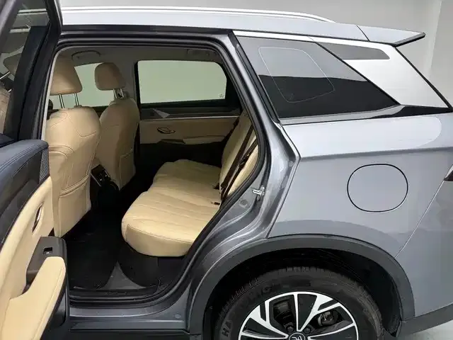 BYD Pro New Energy