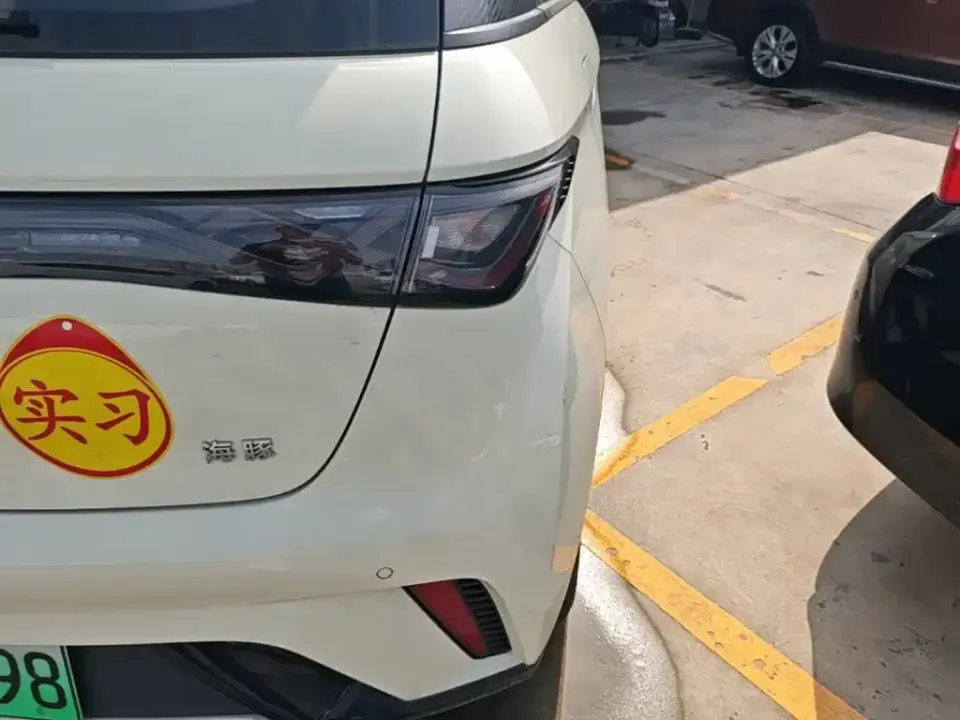 BYD Dolphin