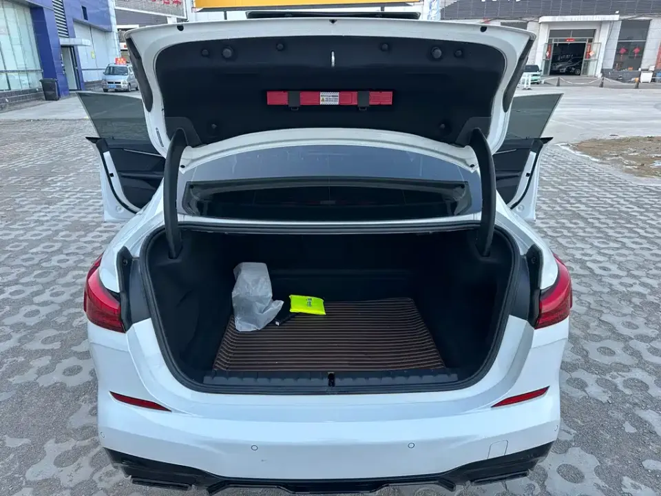 BMW 2 Series (Import)