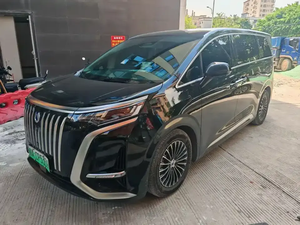 Denza Denza D9