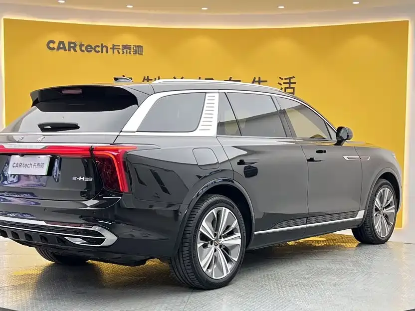 Hongqi Hongqi E-HS9