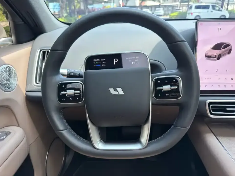 Li Li L6