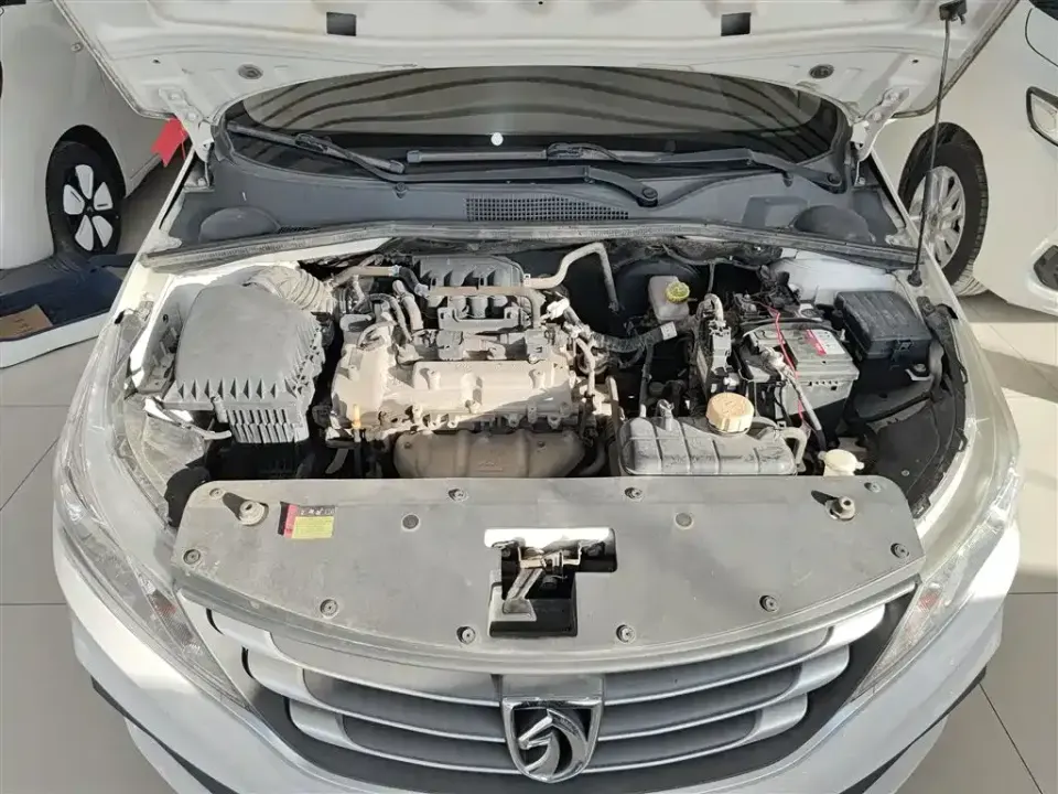 Baojun 310