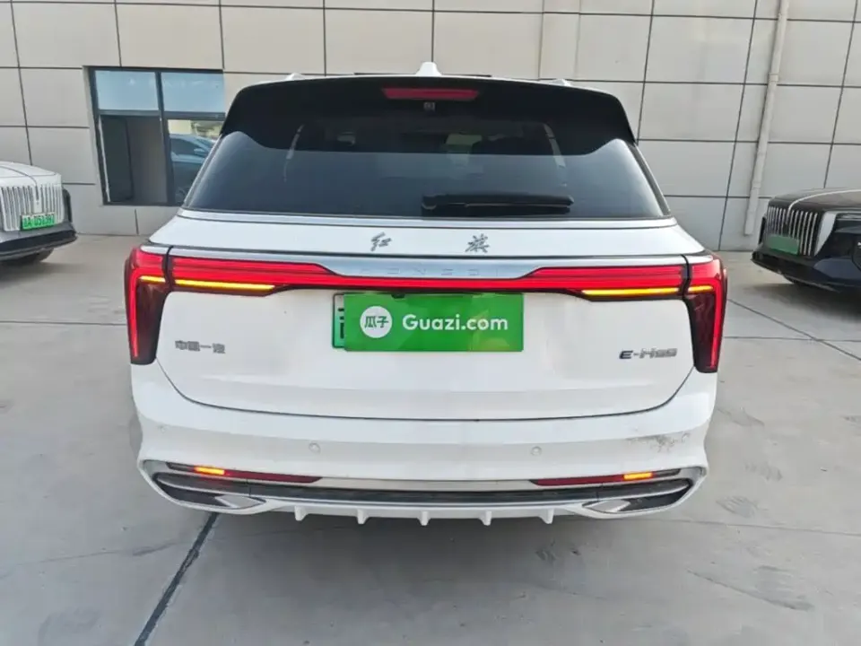 Hongqi Hongqi E-HS9