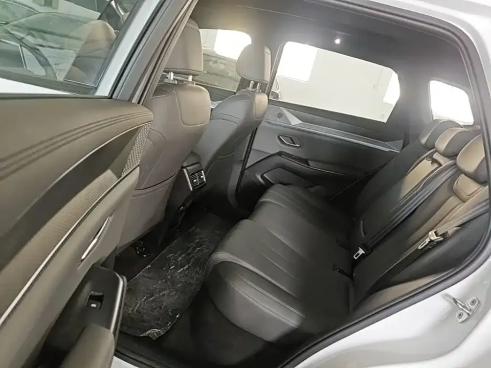 BYD Pro New Energy