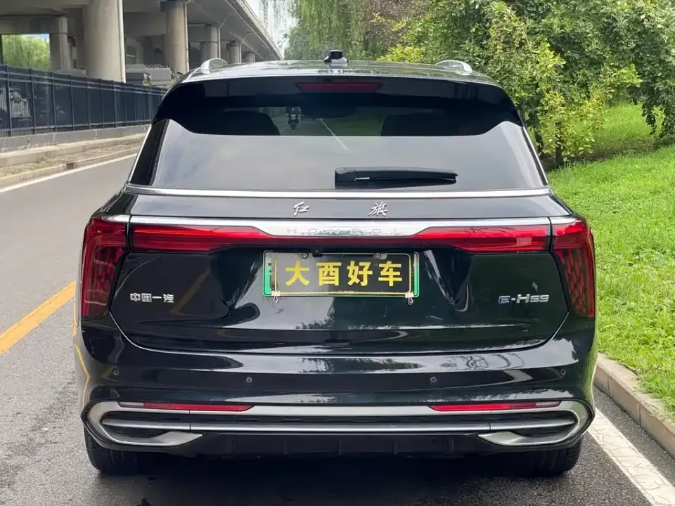 Hongqi Hongqi E-HS9