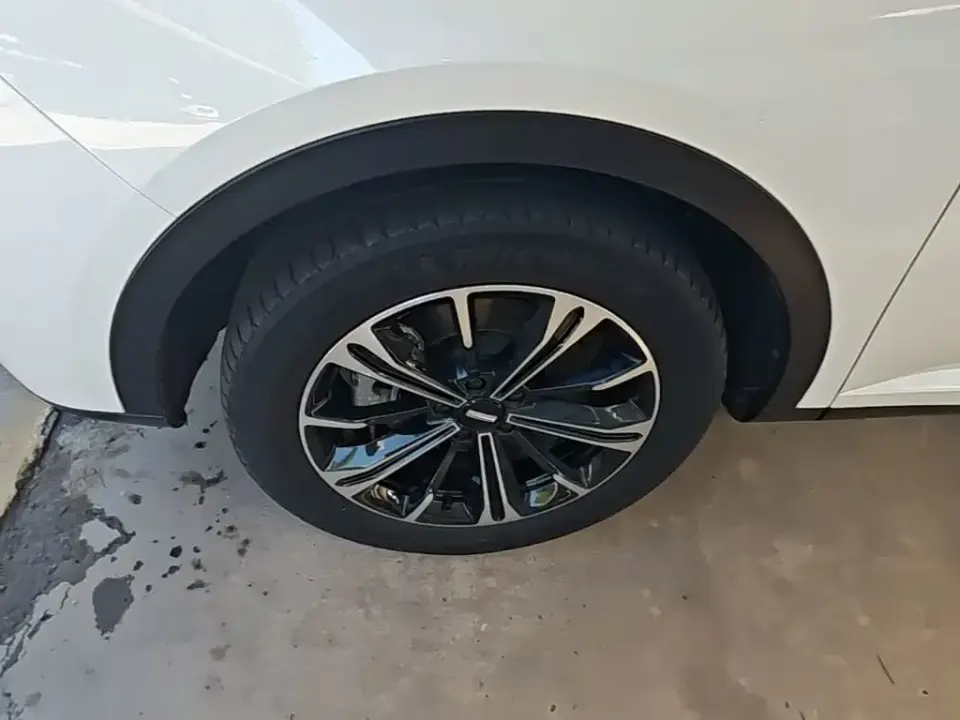 WEY Wey VV6
