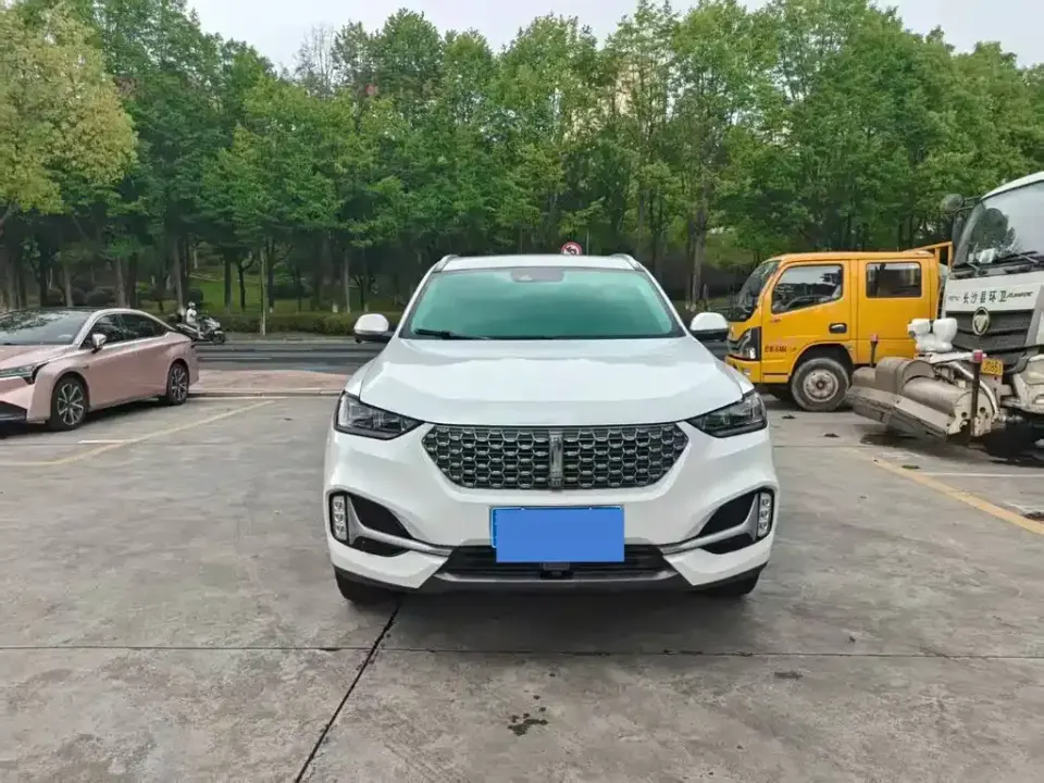 WEY Wey VV6