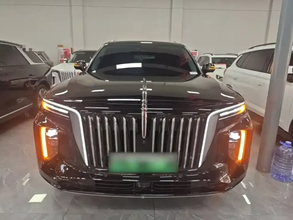 Hongqi Hongqi E-HS9