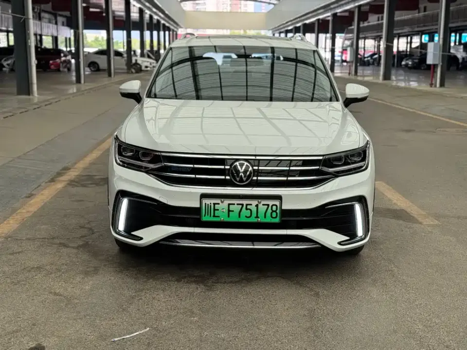 Volkswagen Tiguan L New Energy