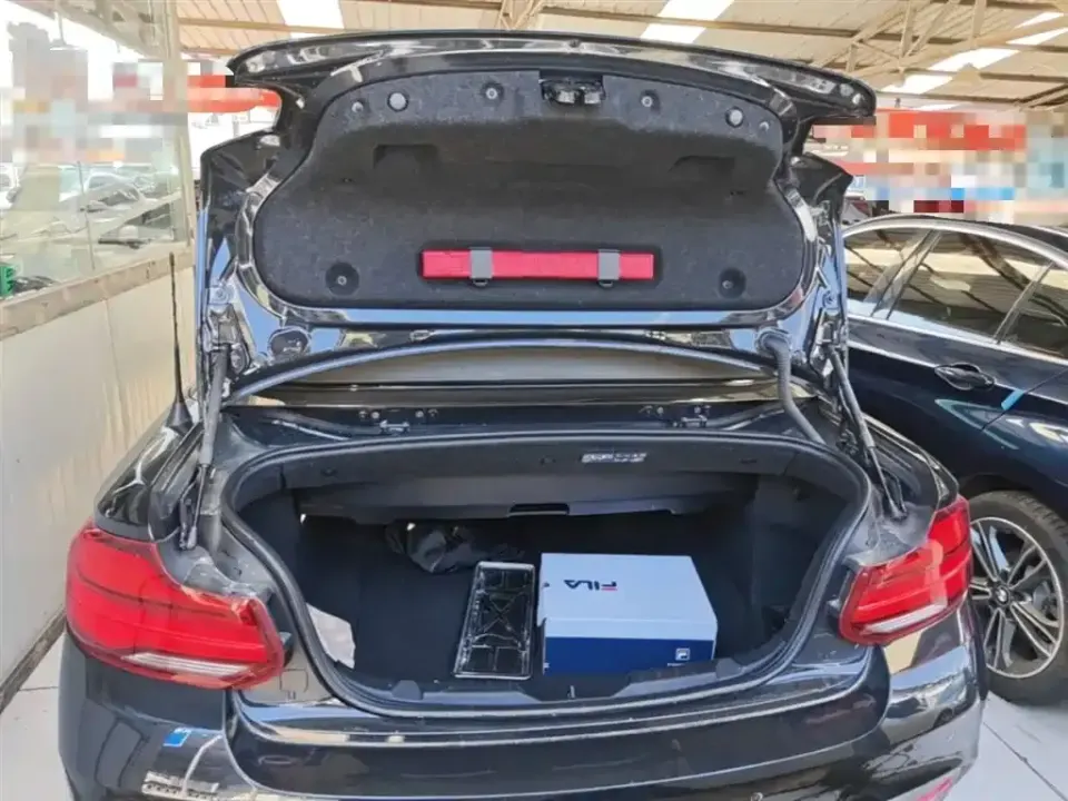 BMW 2 Series (Import)