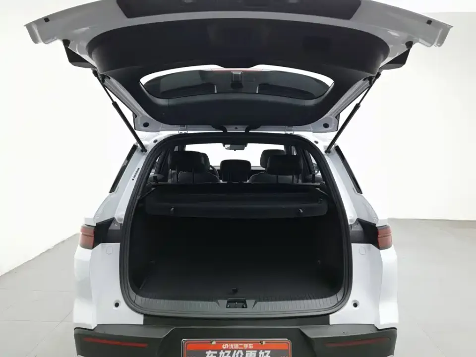 BYD Pro New Energy