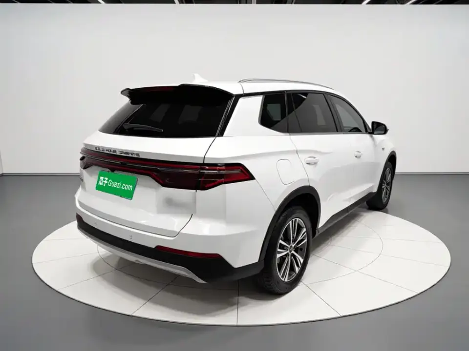 BYD Pro