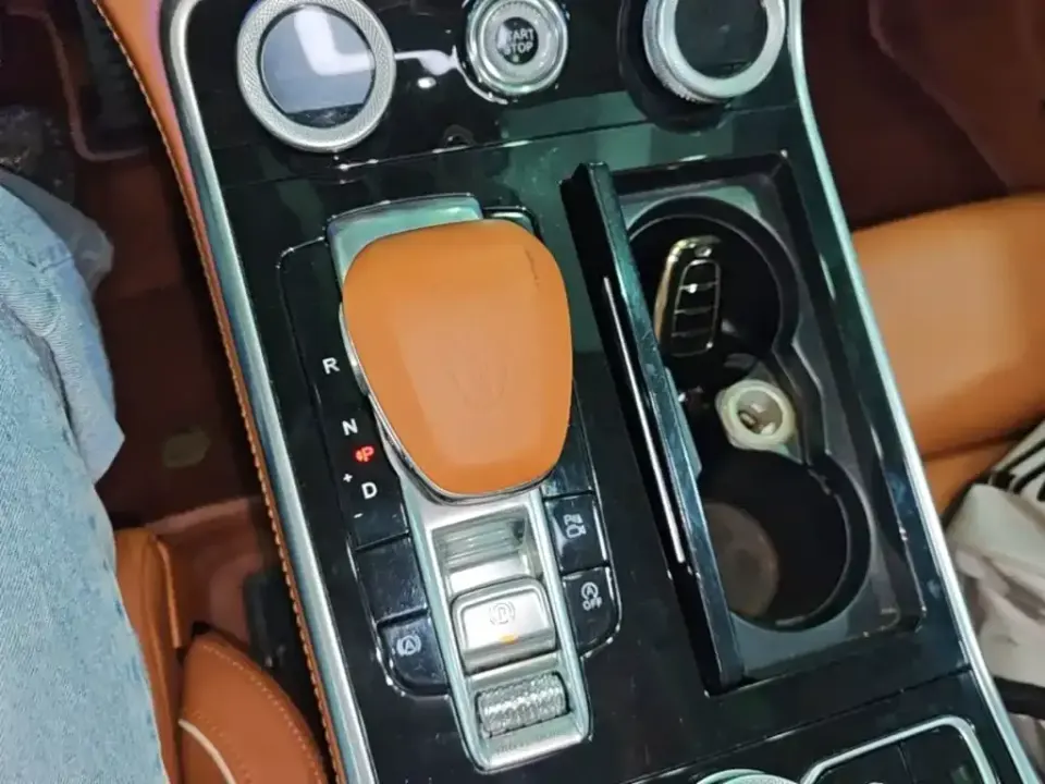 Hongqi Hongqi H9