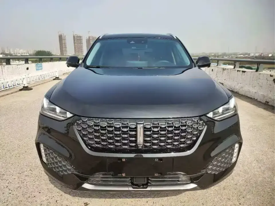 WEY Wey VV6