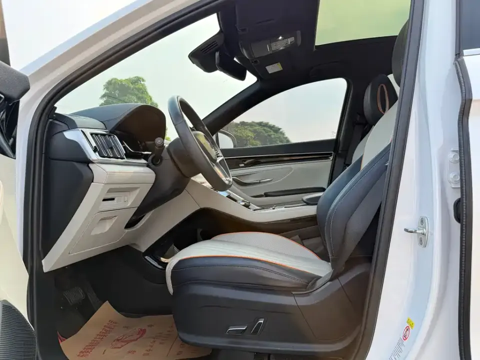 BYD PLUS New Energy