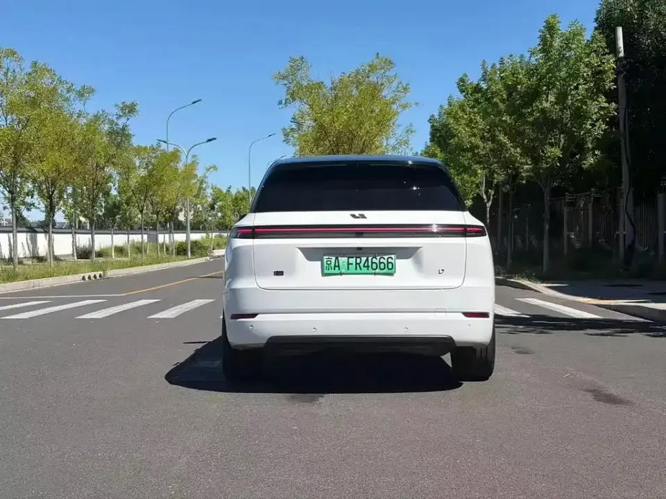 Li Li L7
