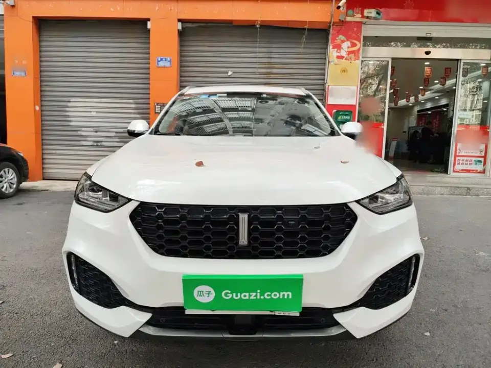 WEY Wey VV6