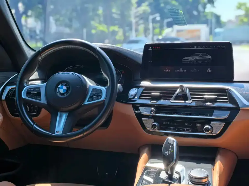 BMW 5 Series (Import)