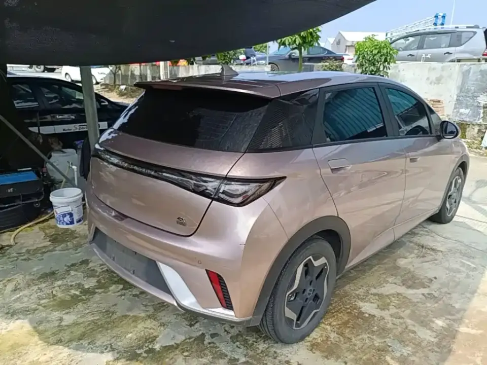 BYD Dolphin