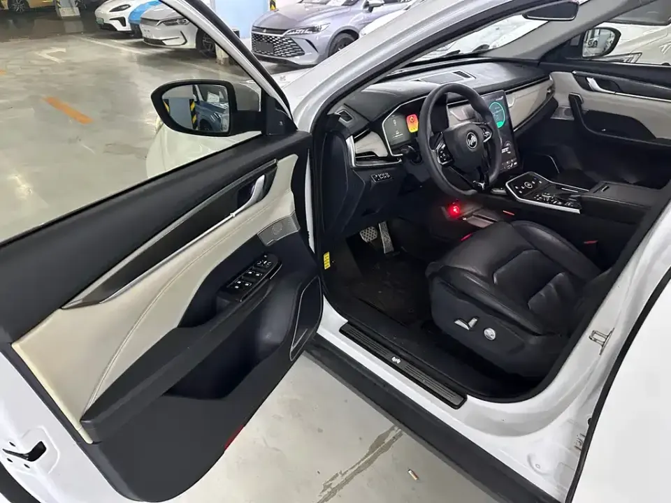 WM Motor EX5
