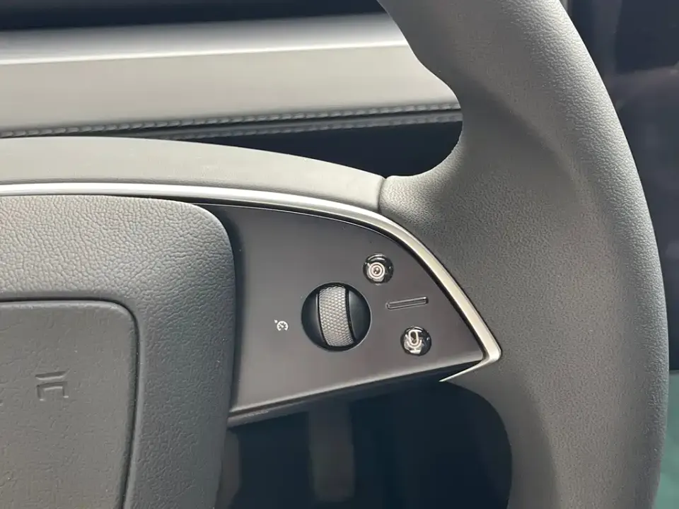 Tesla Model Y L