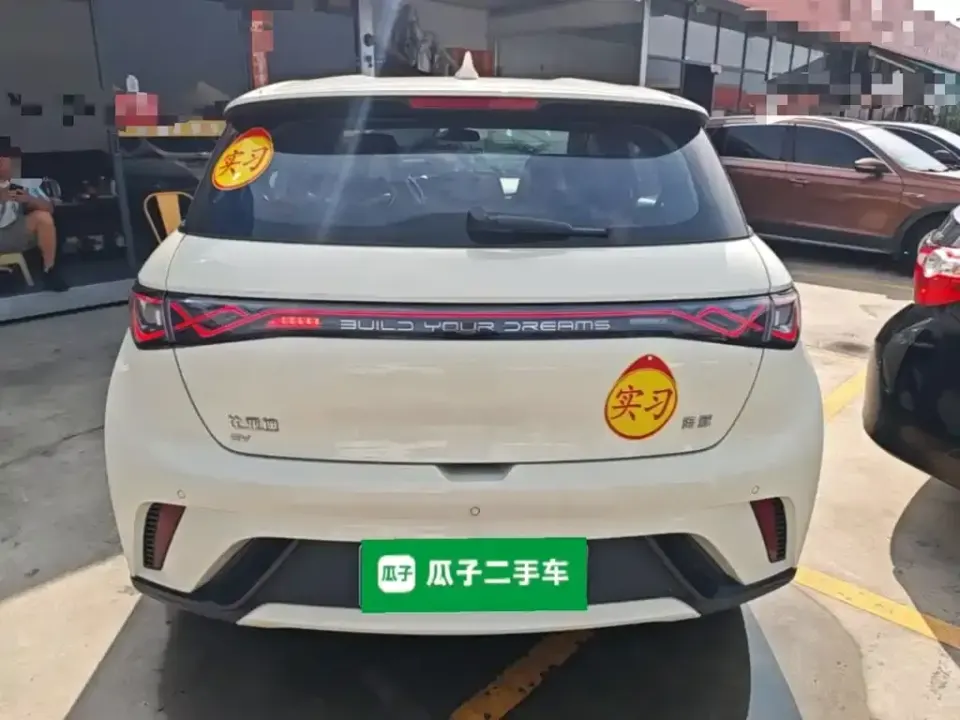 BYD Dolphin