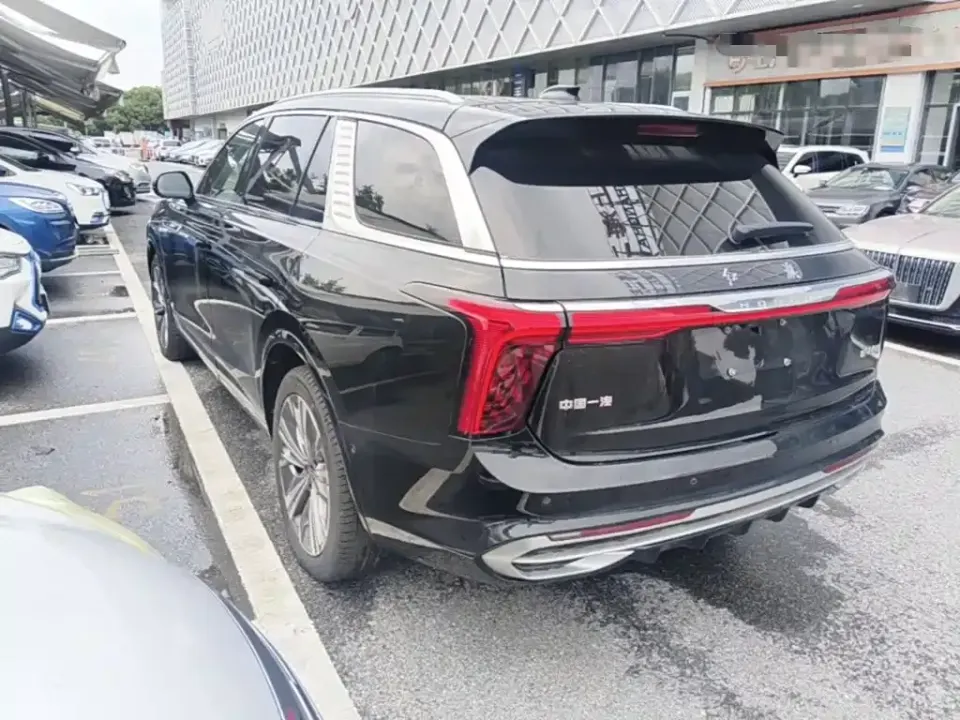 Hongqi Hongqi E-HS9