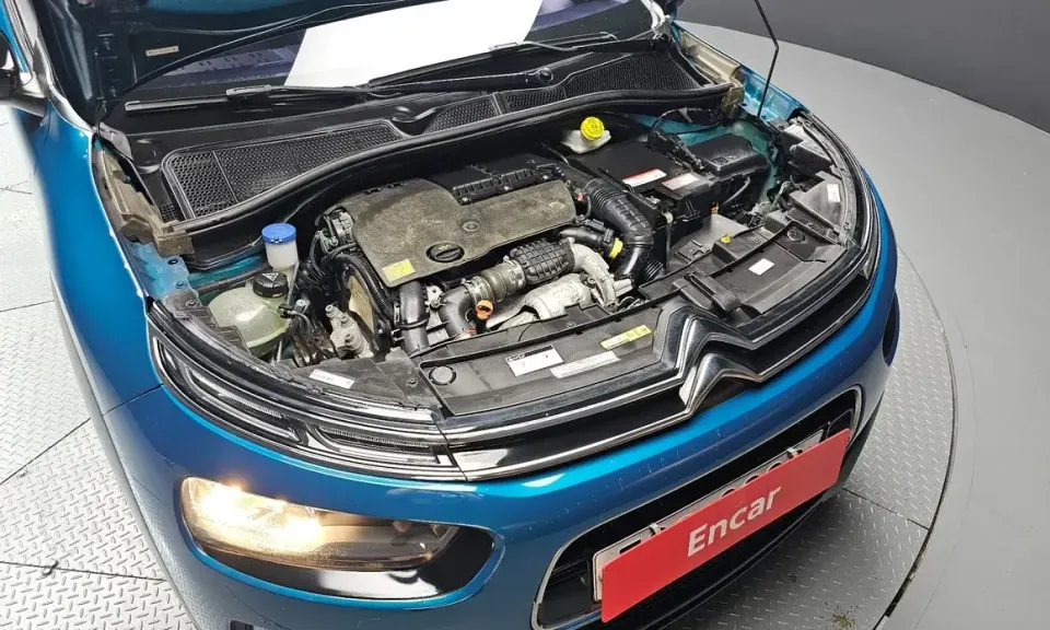 Citroen-DS C4 CACTUS