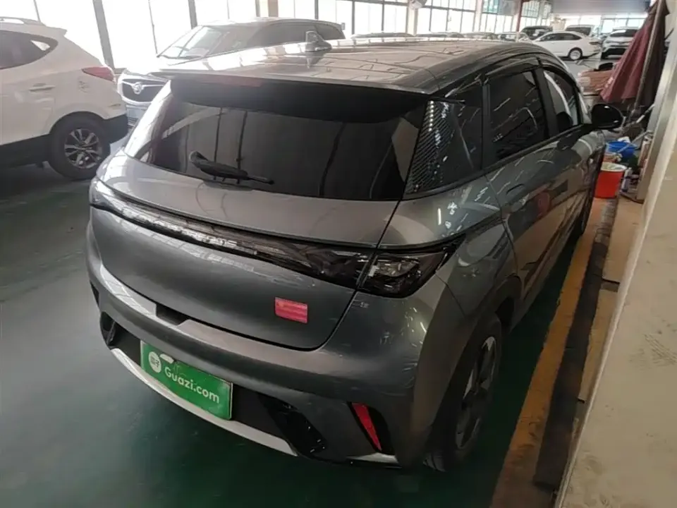 BYD Dolphin