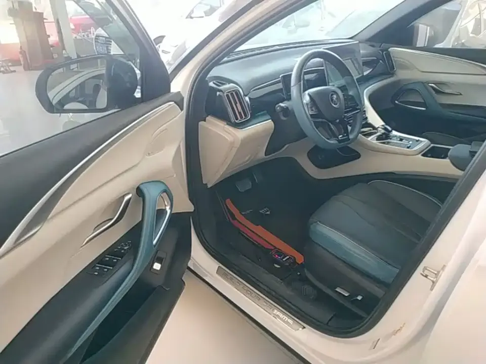 BYD Pro