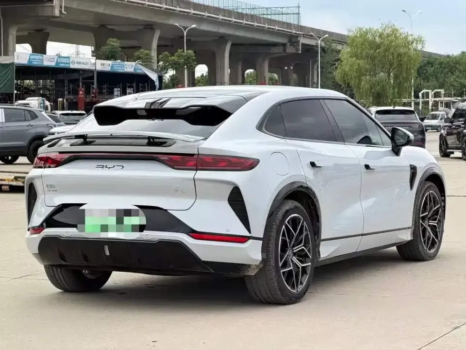 BYD L EV